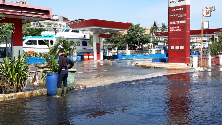 WhatsApp Image 2025-12-05 at 2.56.24 PM